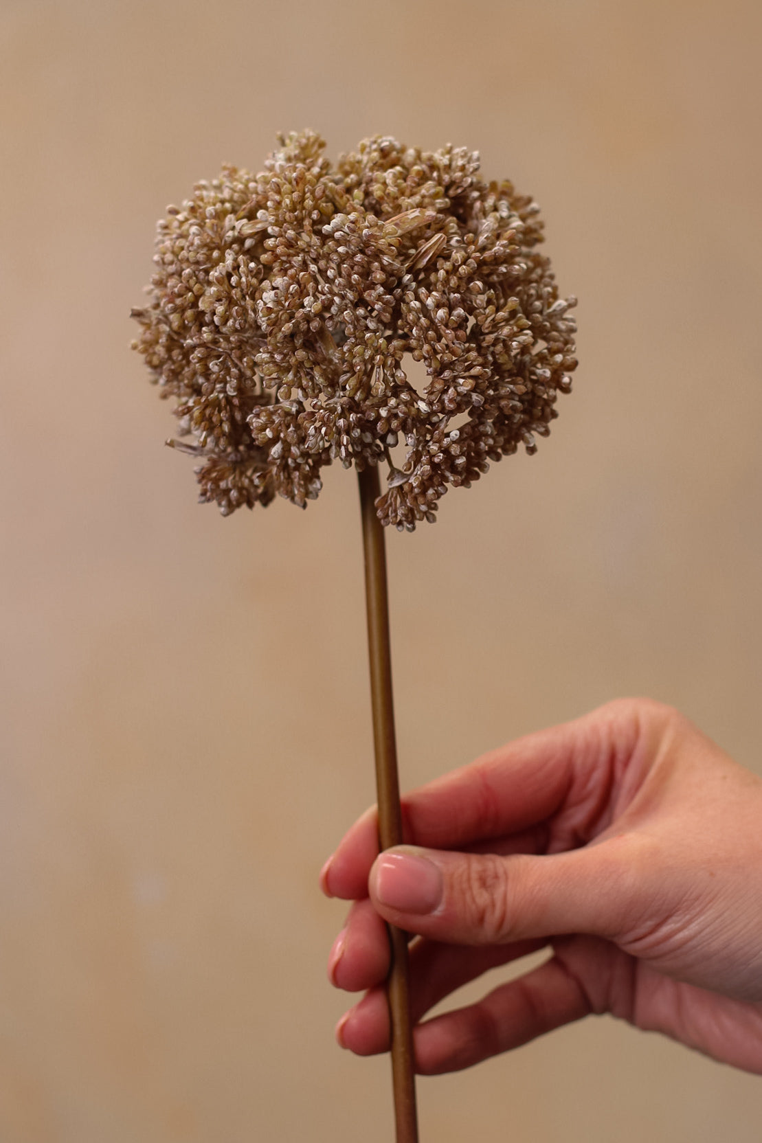 Faux Frosted Sedum Cloud Stem