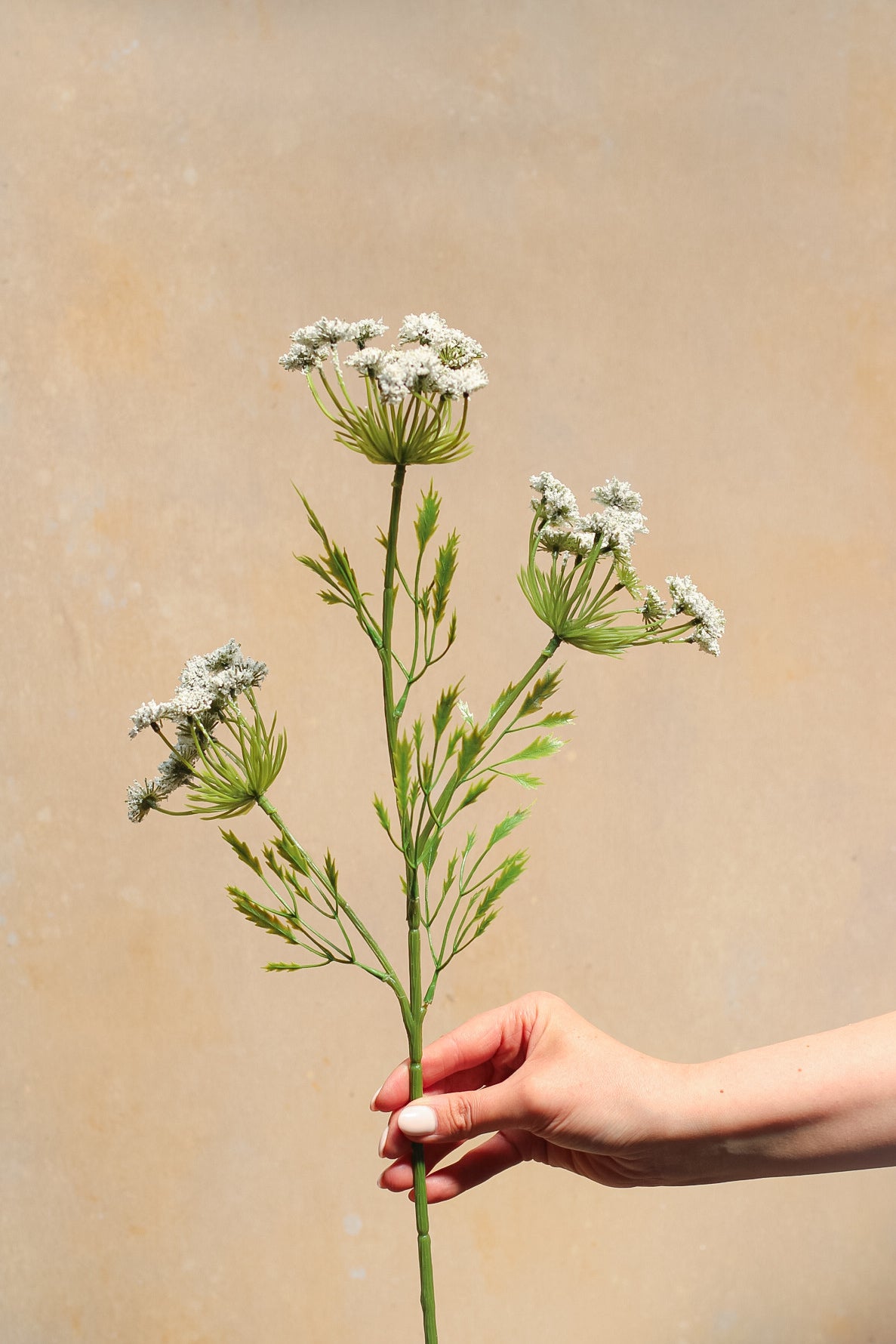 Faux cow parsley spray - artificial flowers