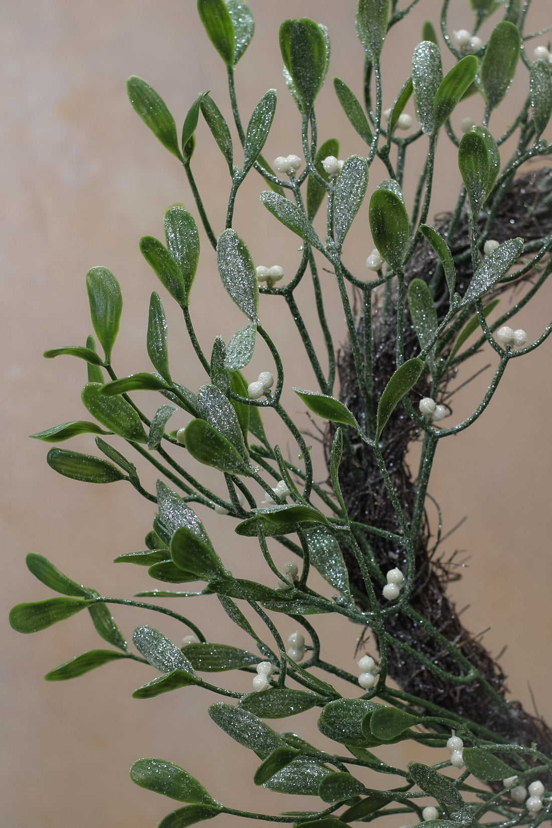 Frosted Mistletoe Wreath