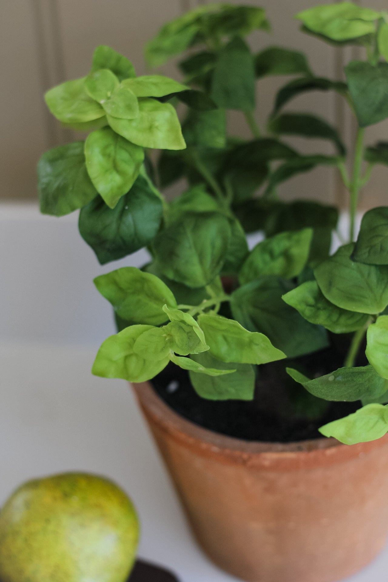 Faux Basil Plant in Rustic Clay Pot 007