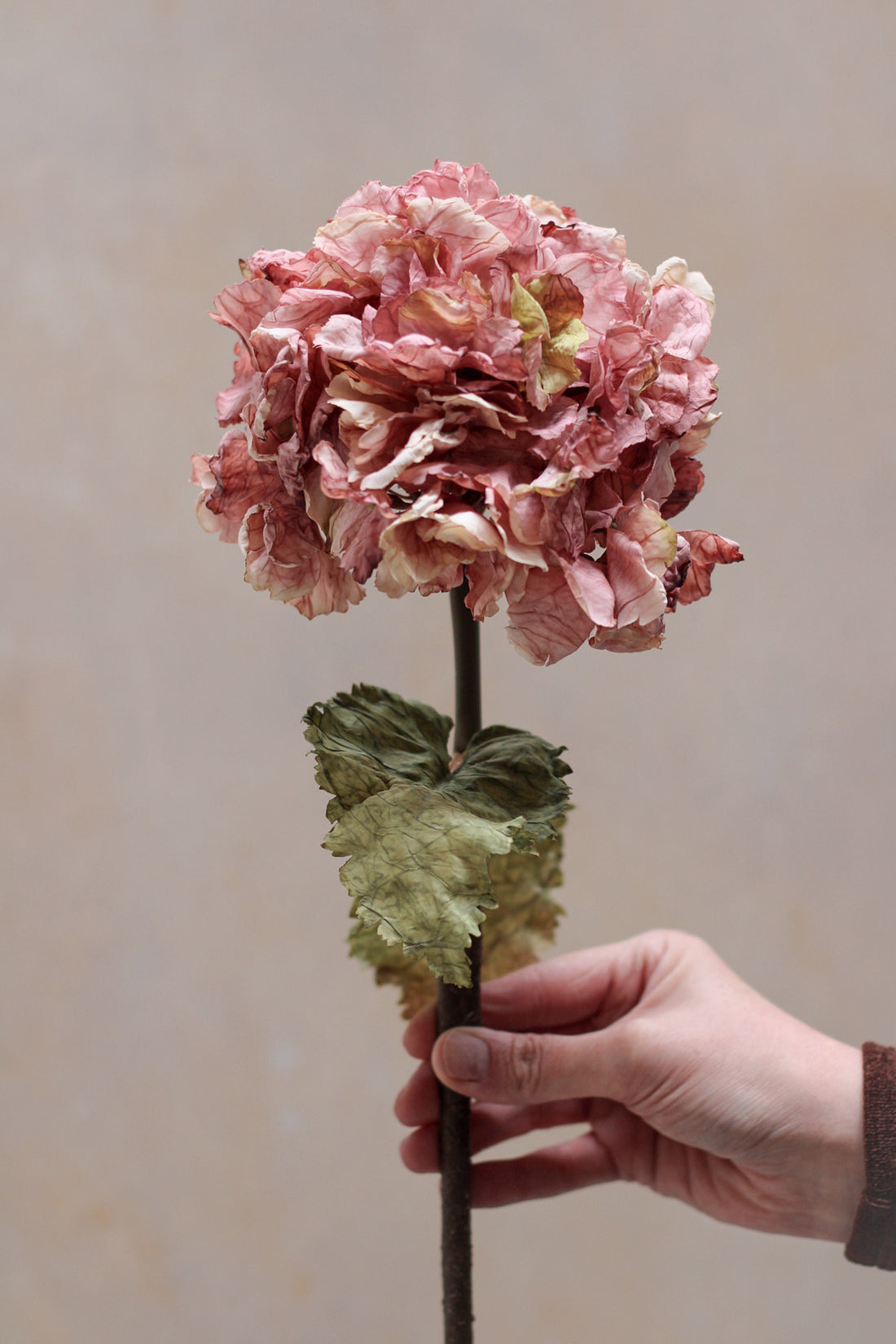 up close of faux pink dried hydrangea stem