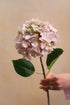 Faux Soft Blush Hydrangea Stem