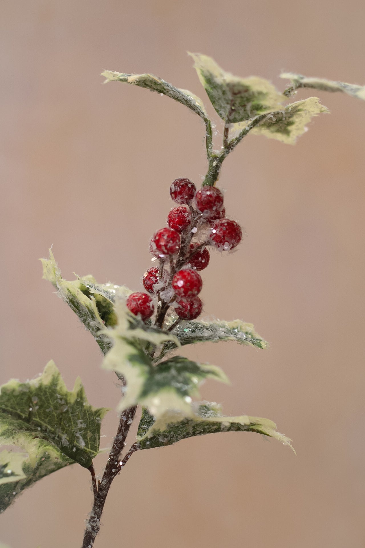 Faux Frosted Holly Spray