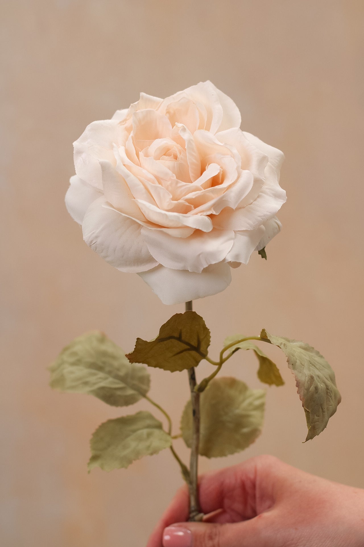 Faux Muted Blush Rose Stem