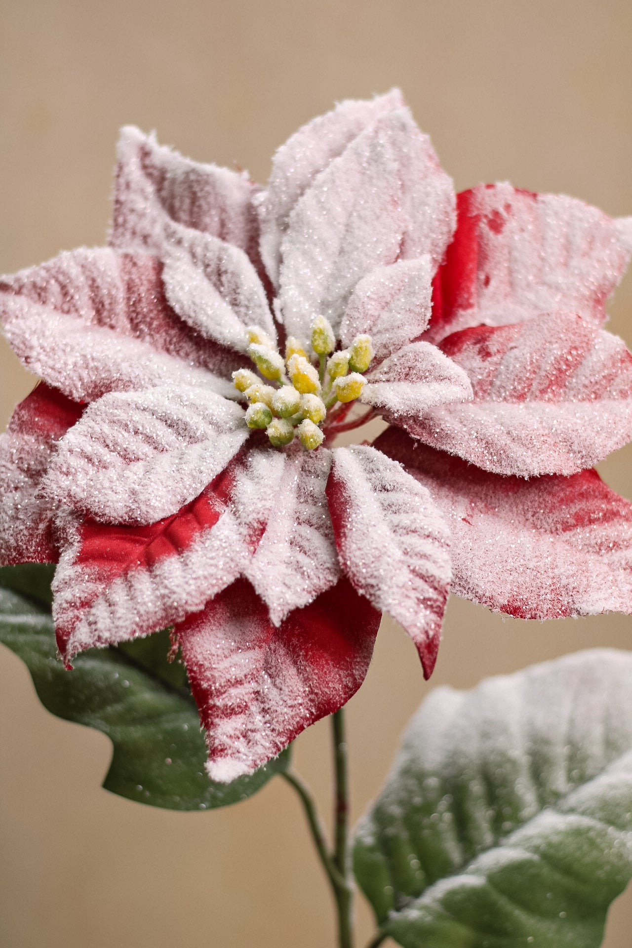Faux Snow Frosted Poinsettia Stem