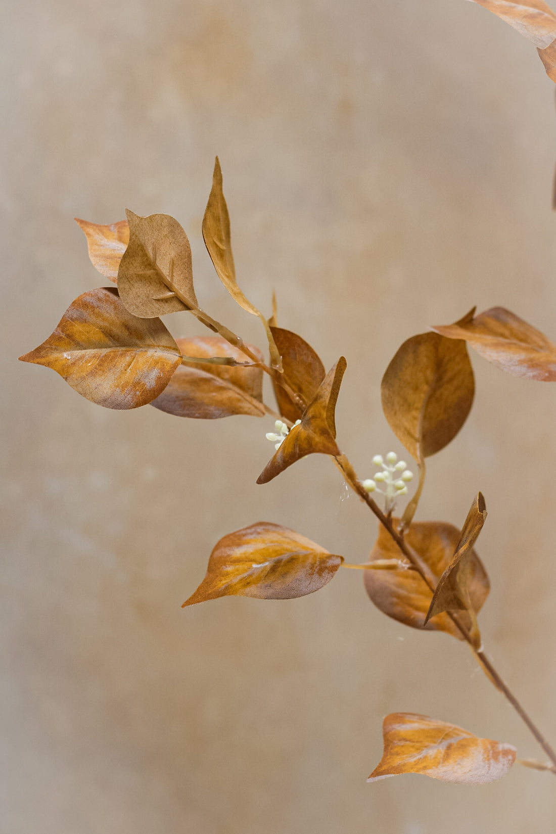 Faux Orange Seeded Noah Leaf Stem