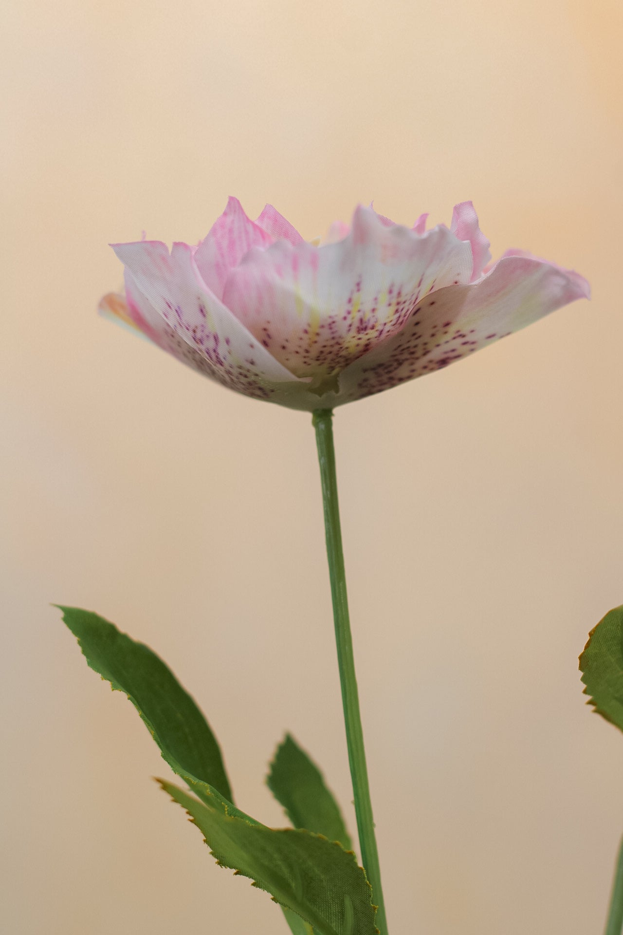 Faux Light Pink Hellebore Spray