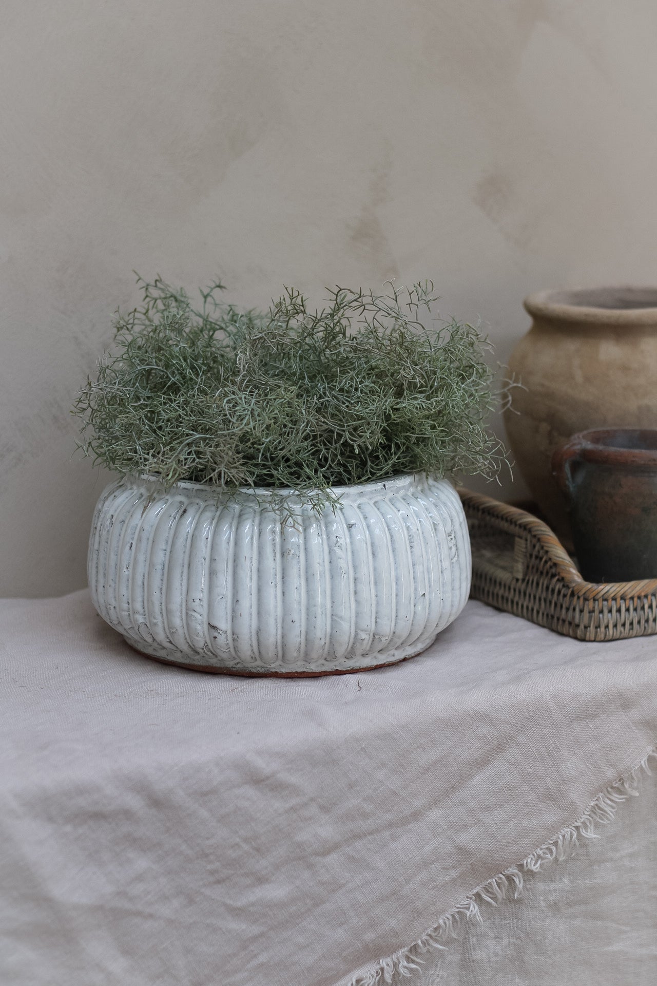 Distressed Cream Ribbed Planter