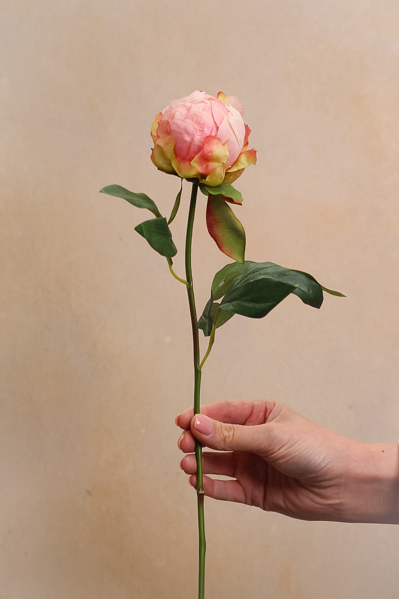 Faux Soft Pink Bud Peony Stem