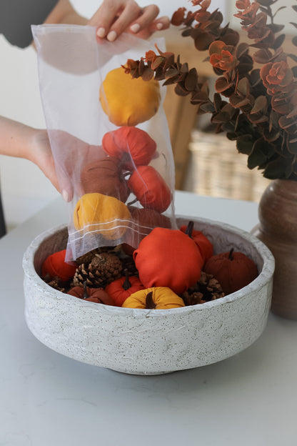 Bag of Autumn Orange Pumpkins and Pinecones