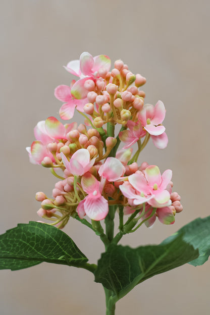 Faux Pink Budding Hydrangea