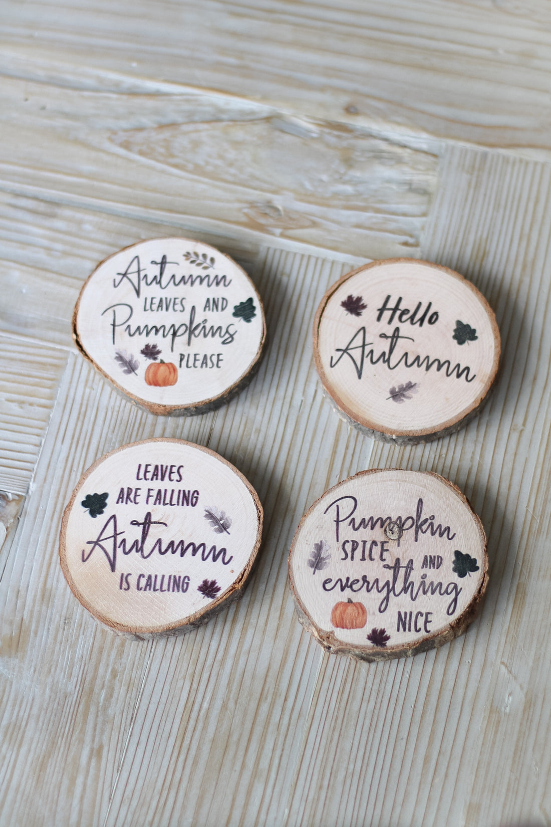 Hello Autumn Wooden Log Coasters | Set of 4