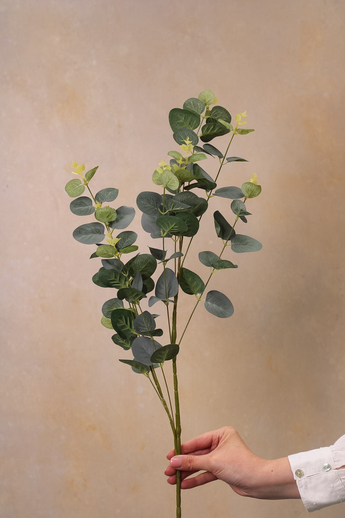 Faux Variegated Cineraria Eucalyptus Stem