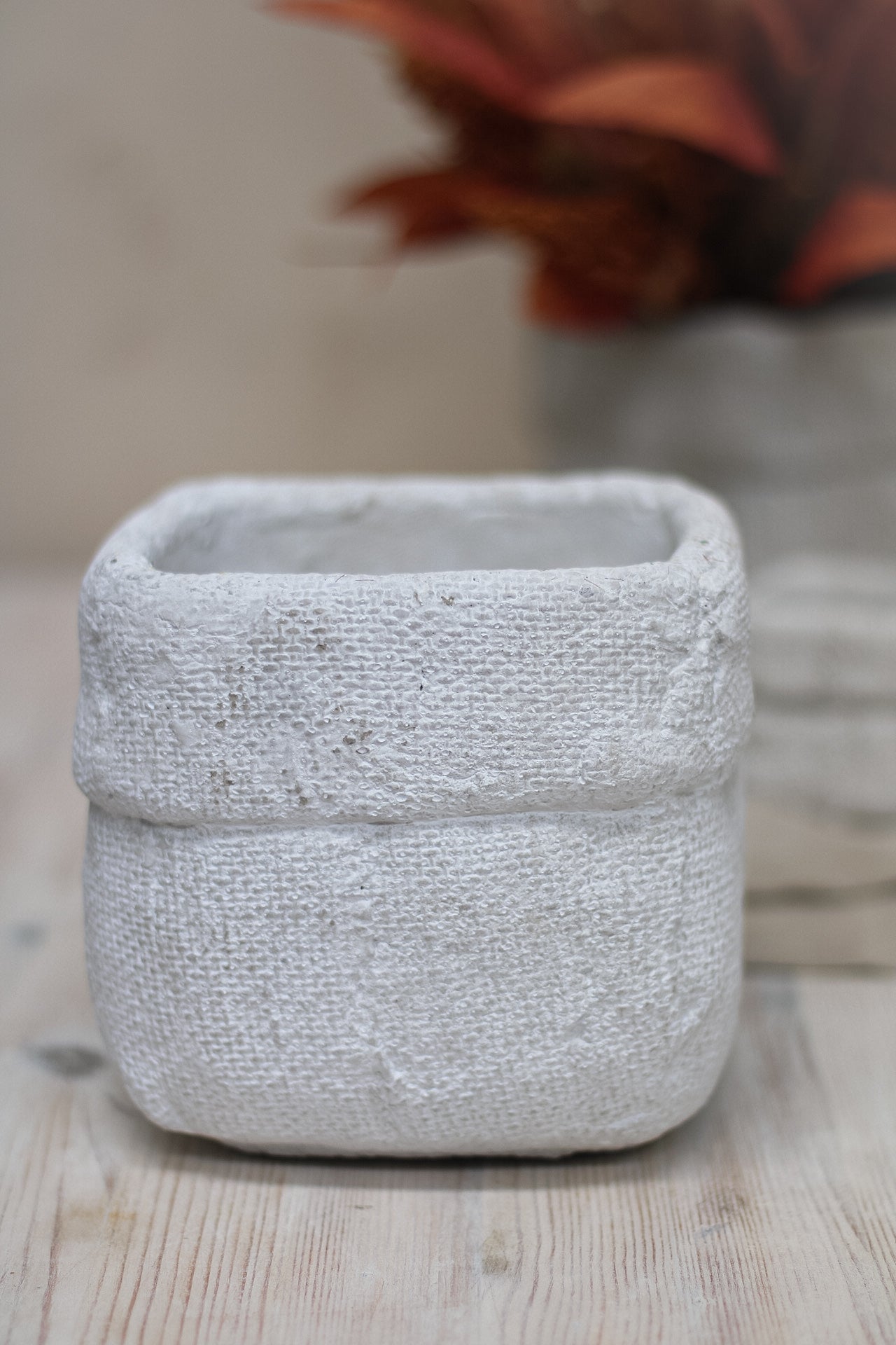 Textured Cement Flower Pot