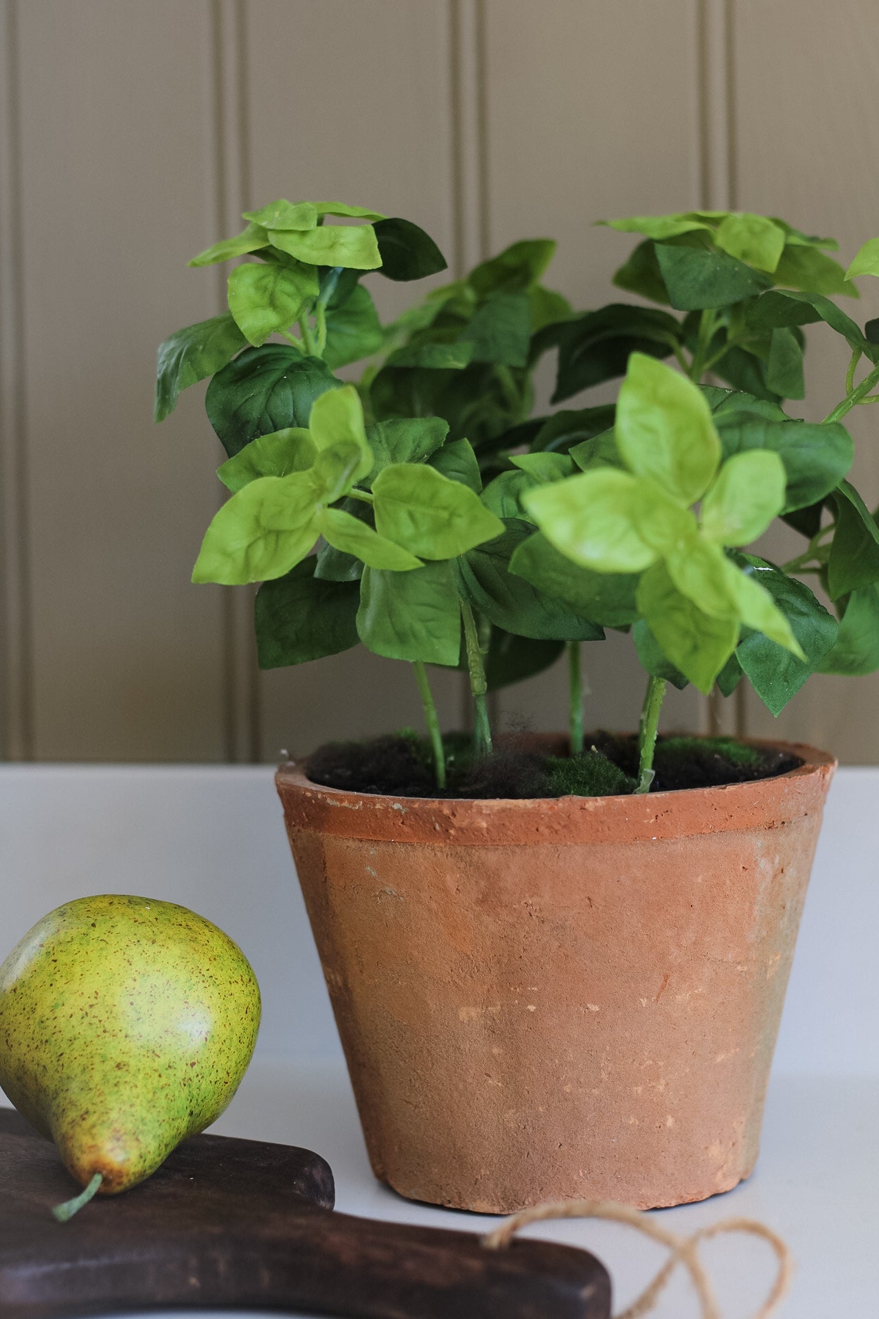 Faux Basil Plant in Rustic Clay Pot 004