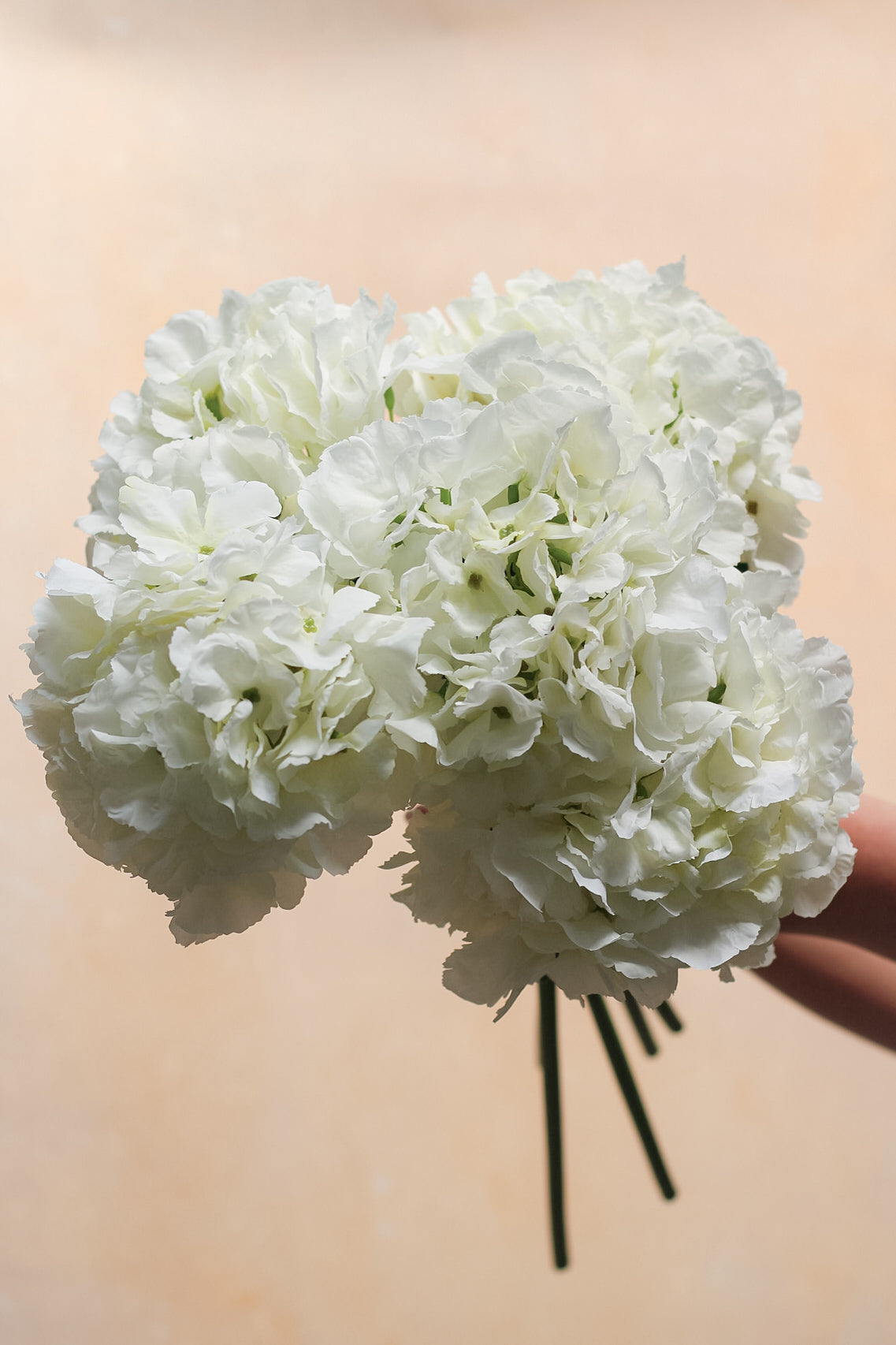 Faux Ivory Hydrangea Stem