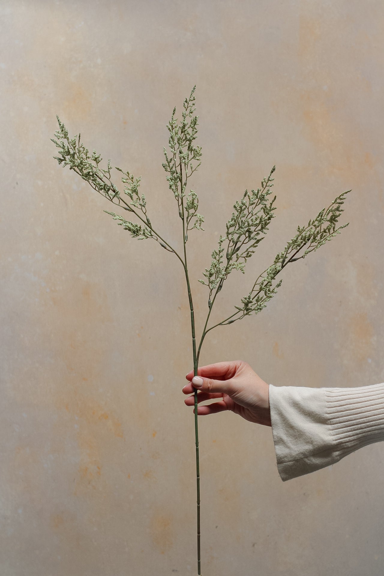 Faux Dried Green Limonium Stem