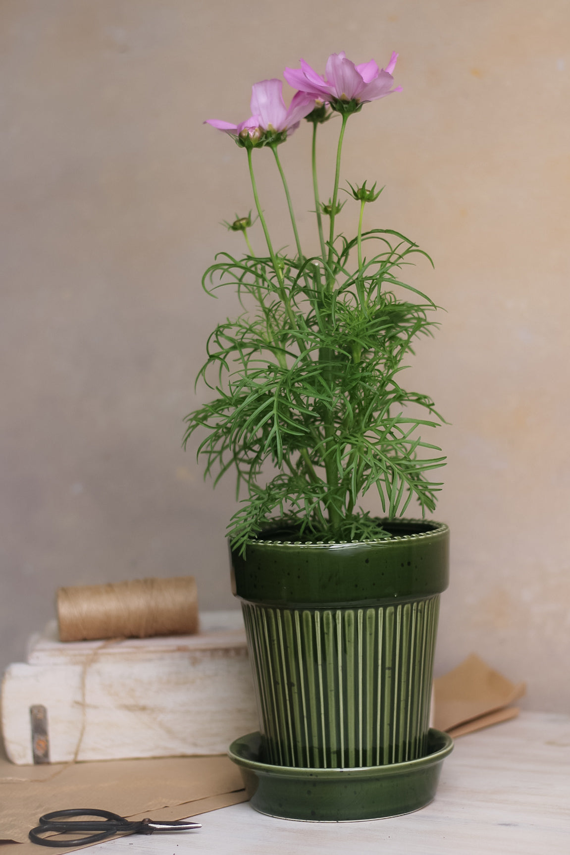 Green Striped Planter