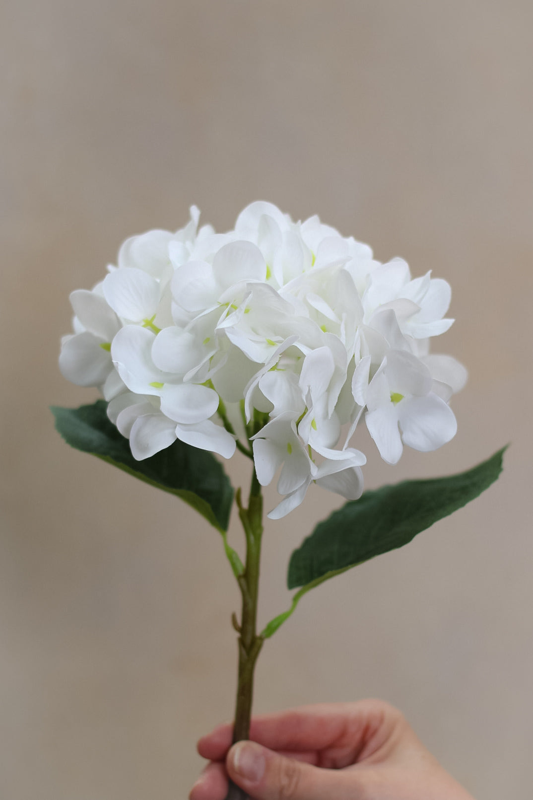 Faux Small White Hydrangea Stem