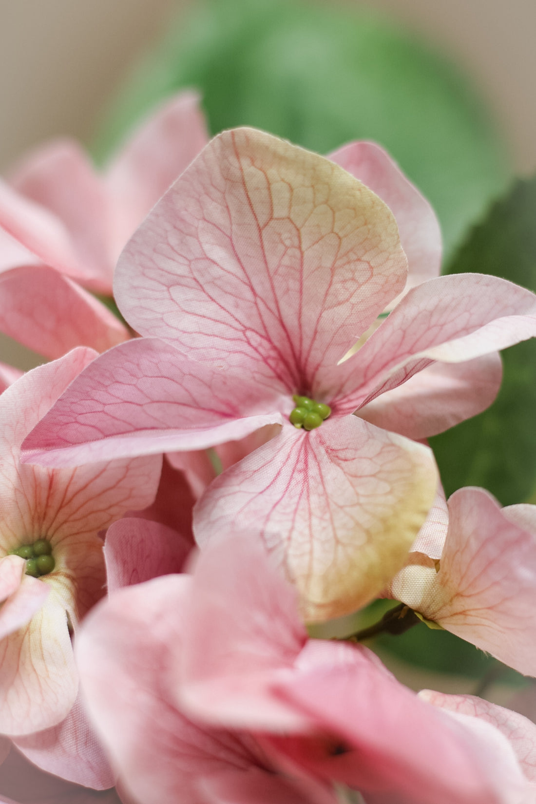 Faux Shabby Pink Hydrangea