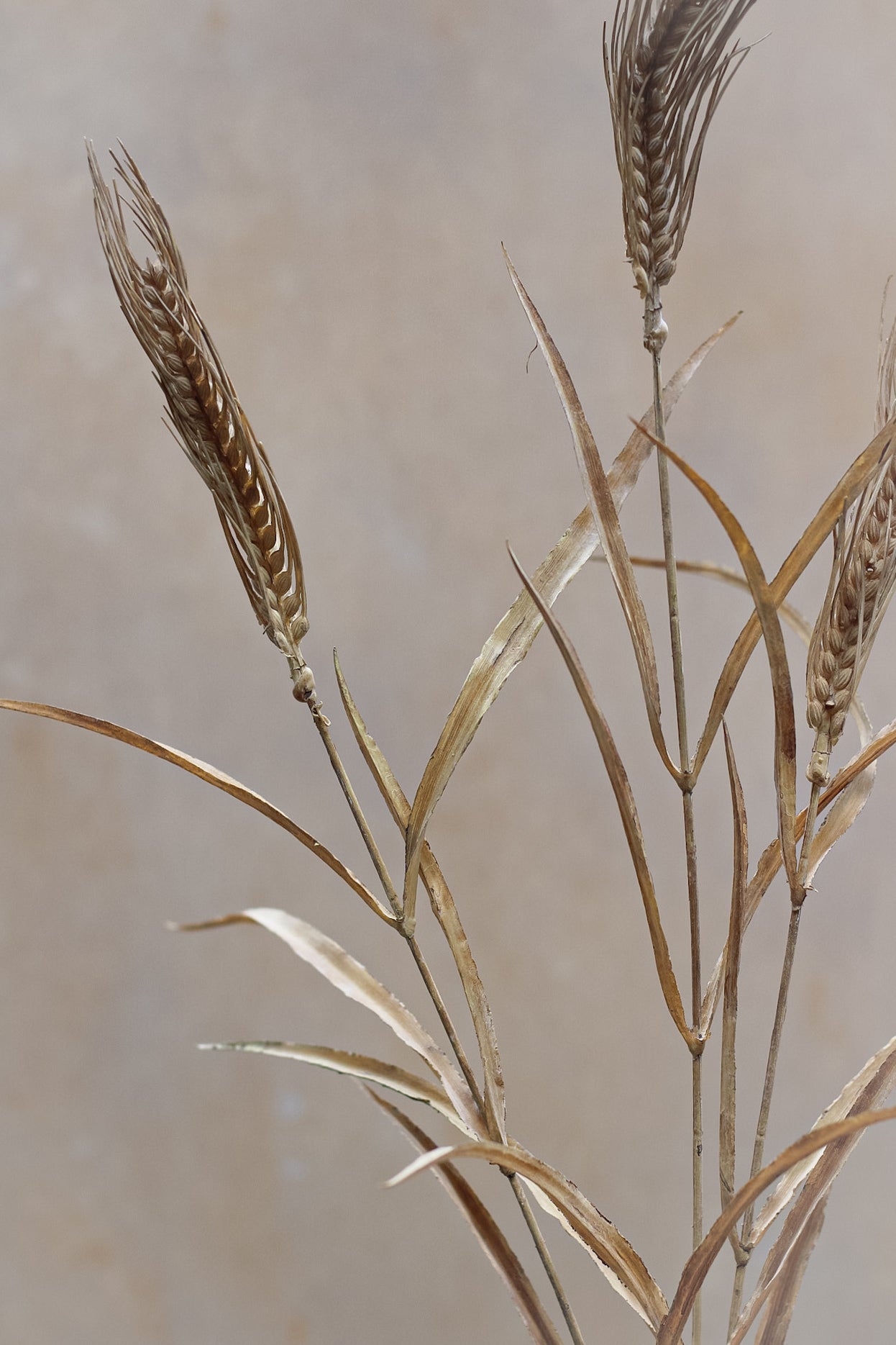 Faux Dried Grass Reed Stem