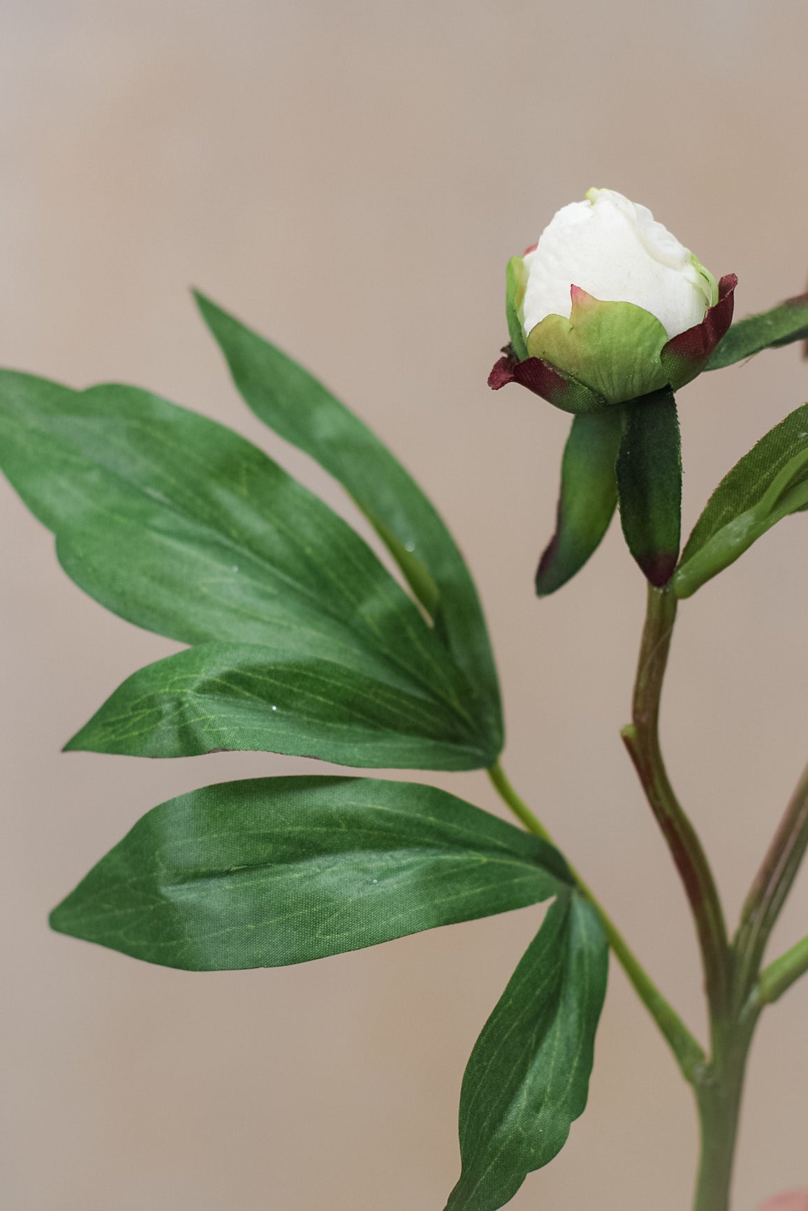 Faux White Tight Bud Peony Spray