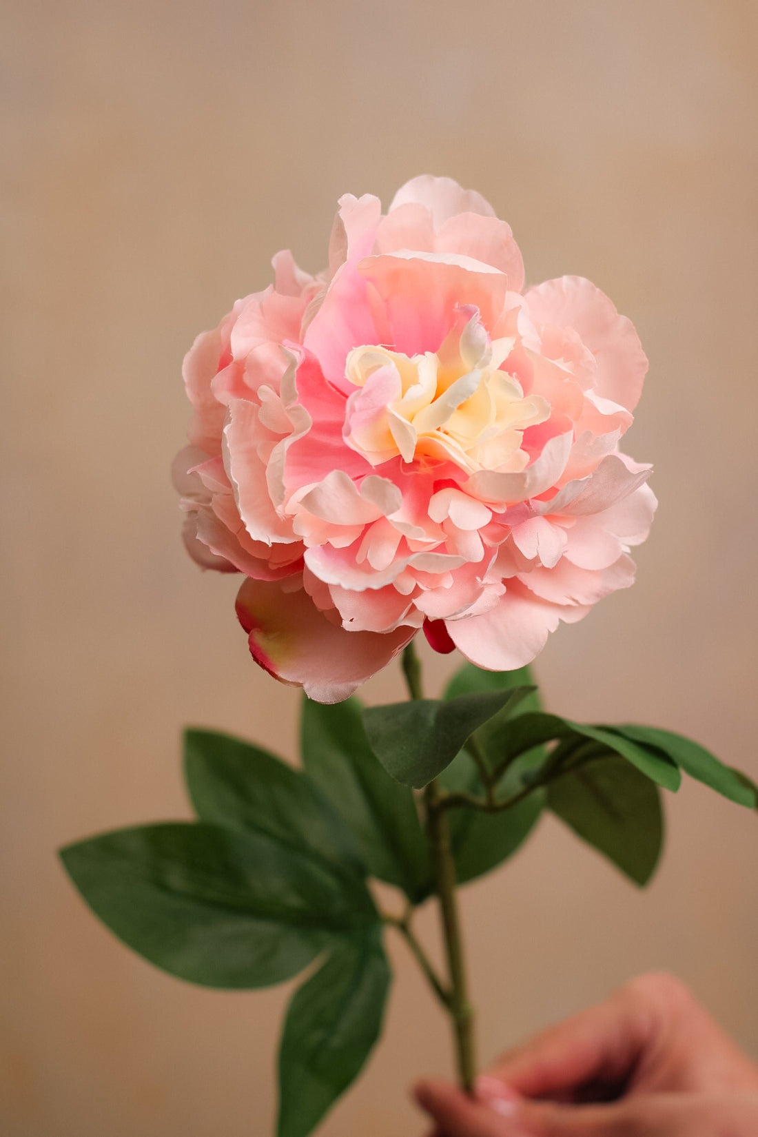 Faux Pink Sorbet Fluffy Peony Stem