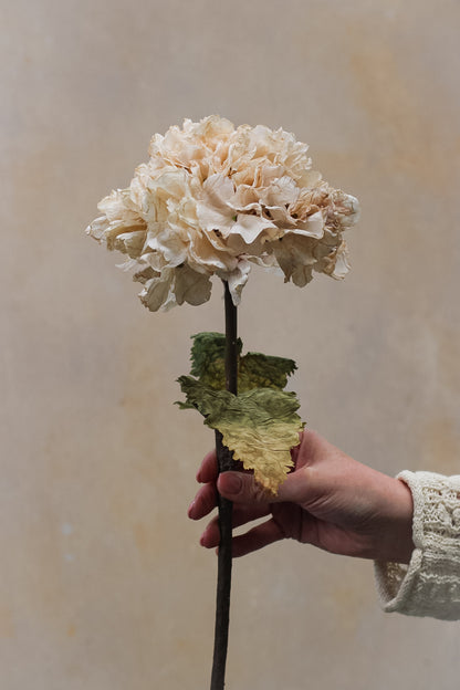 Faux Nude Dried Touch Ruffle Hydrangea