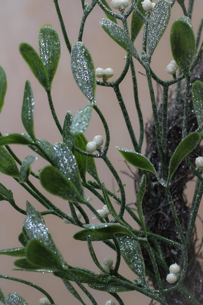 Frosted Mistletoe Wreath