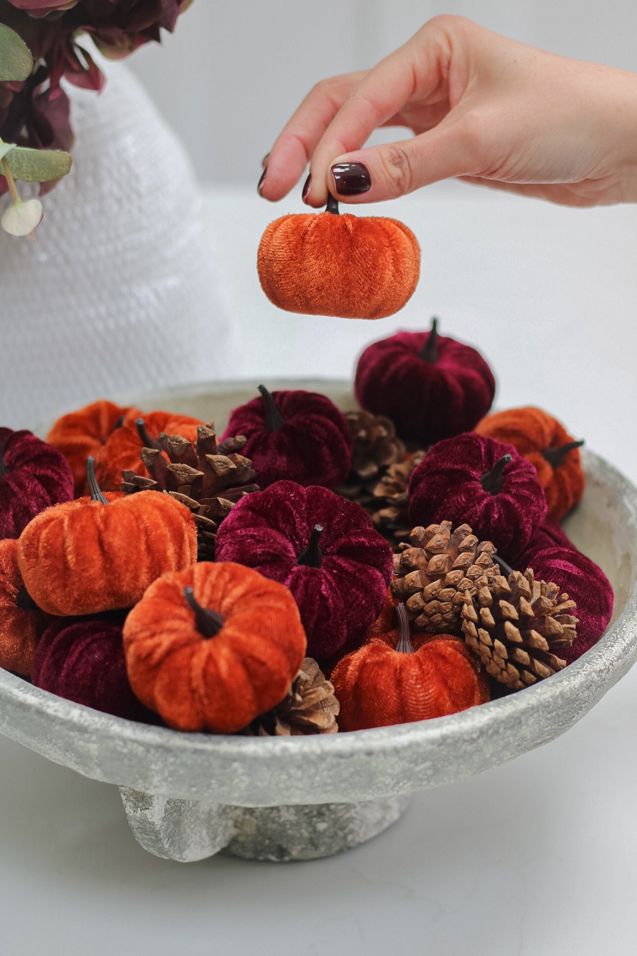 Box of Velvet Pumpkins &amp; Pinecones