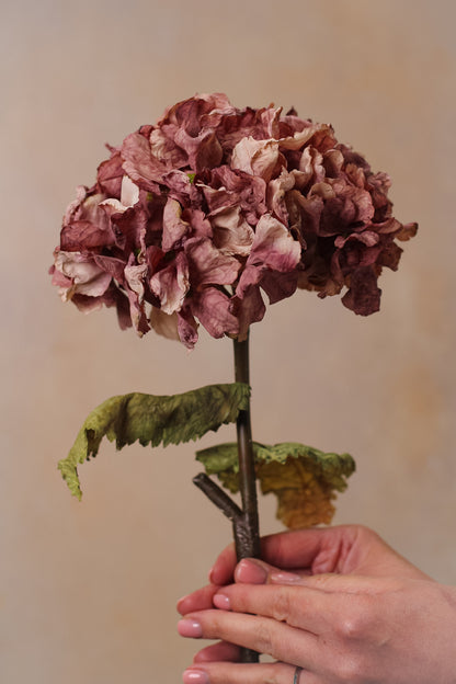 Faux Vintage Mauve Dried Touch Ruffle Hydrangea