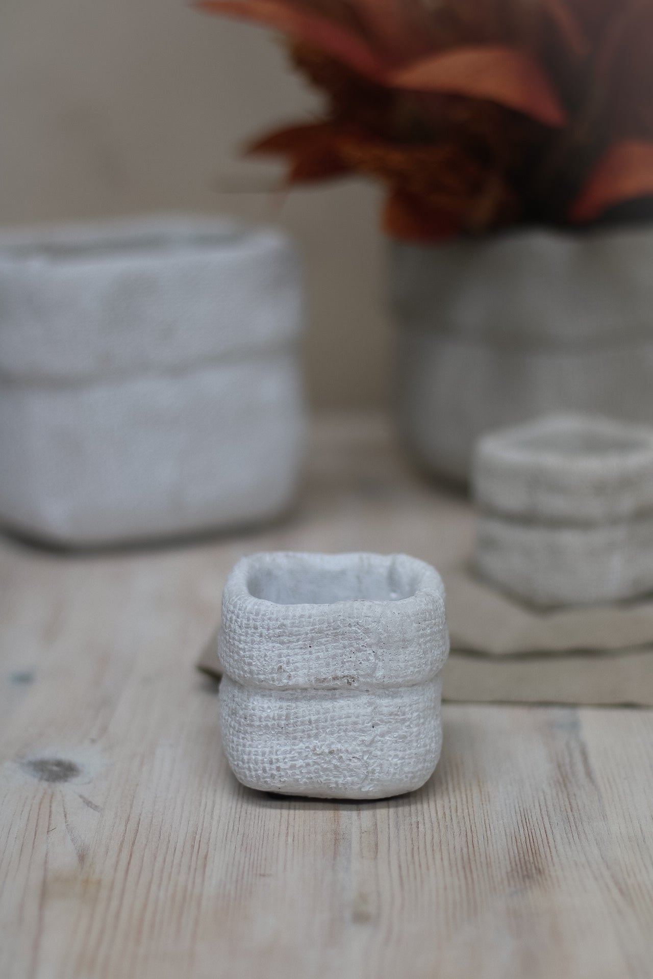 Textured Cement Flower Pot