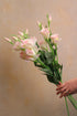 Faux Pale Pink Lisianthus Spray