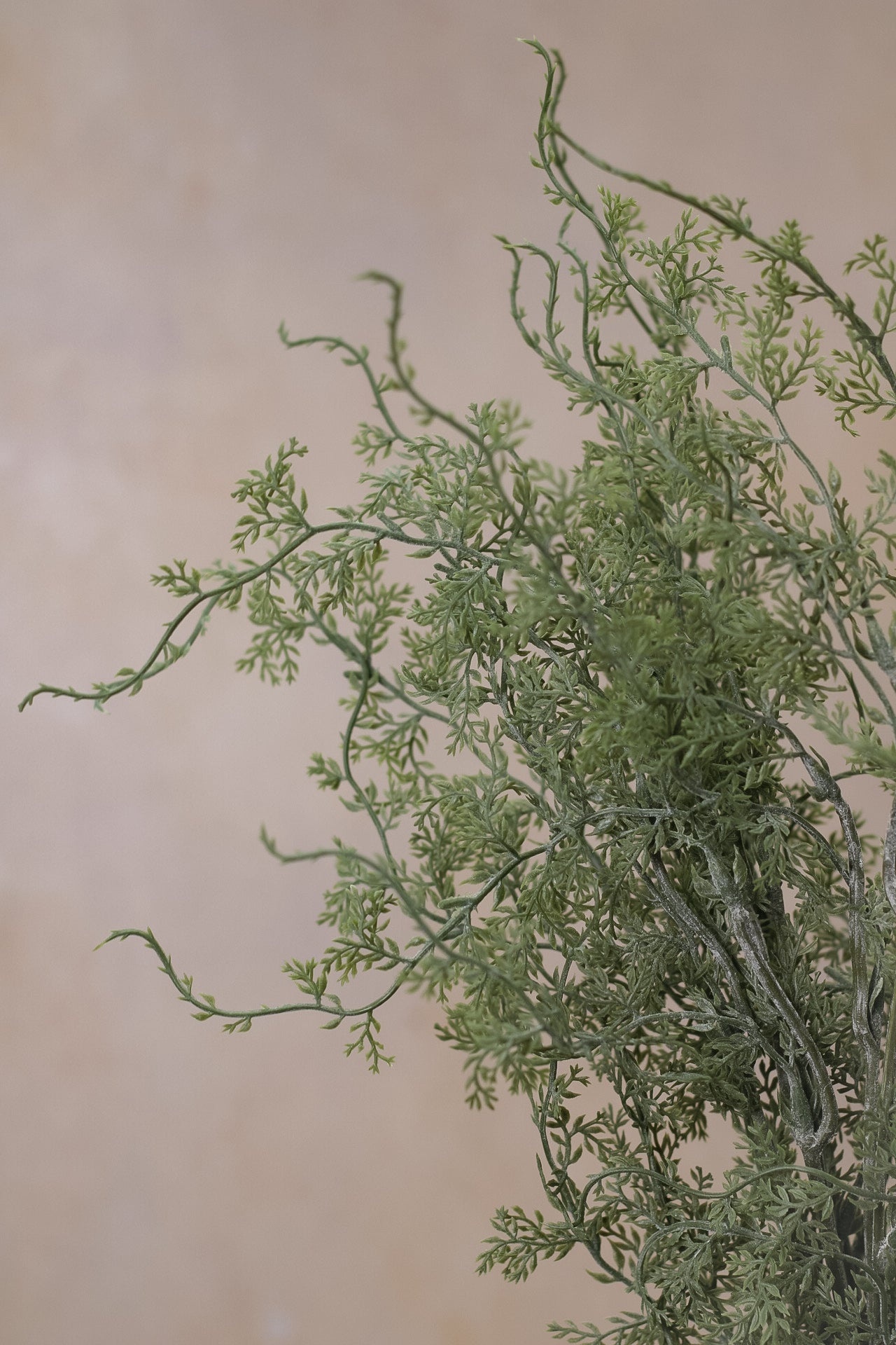 Faux Wispy Asparagus Fern Bunch