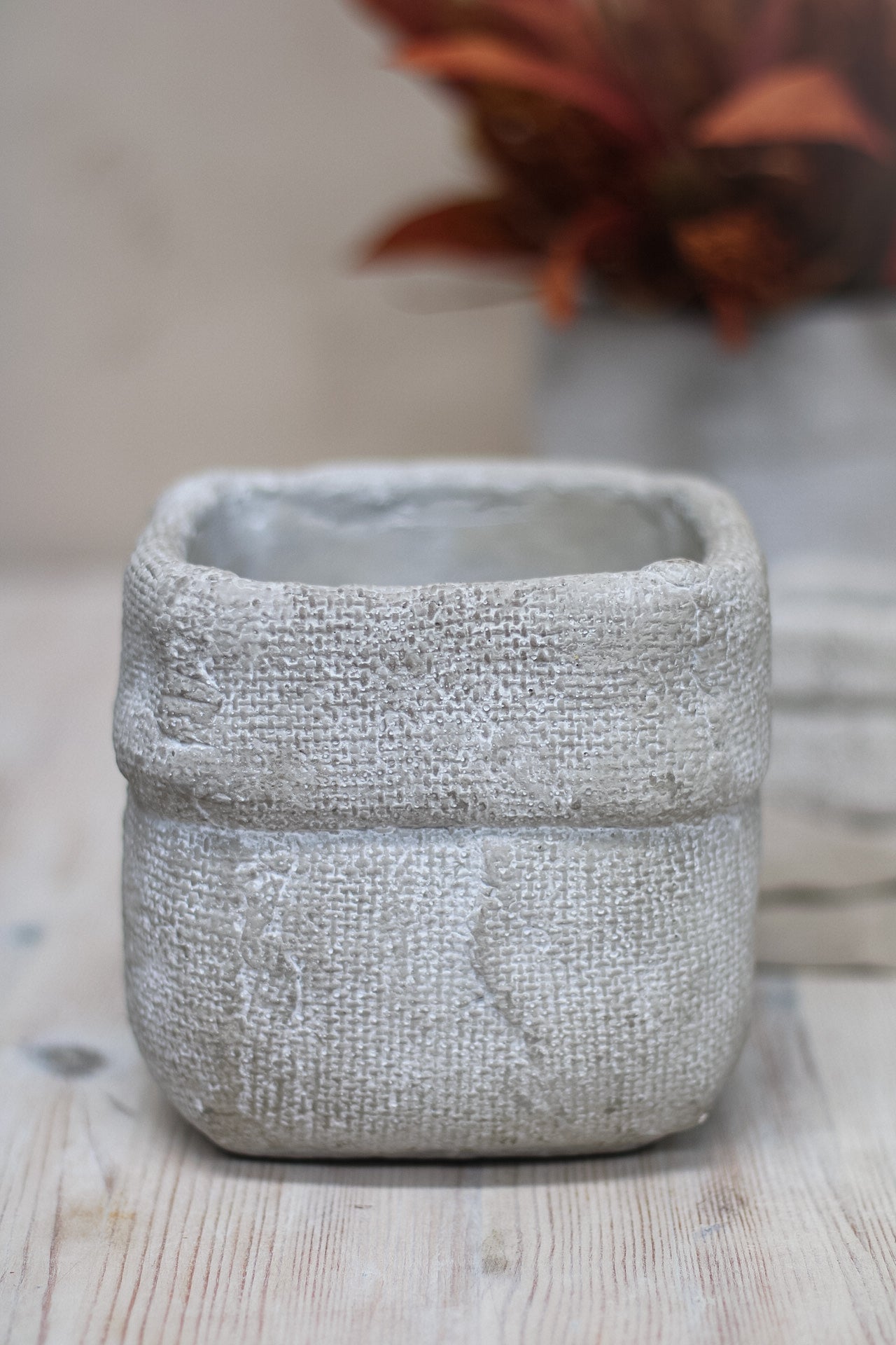 Textured Cement Flower Pot