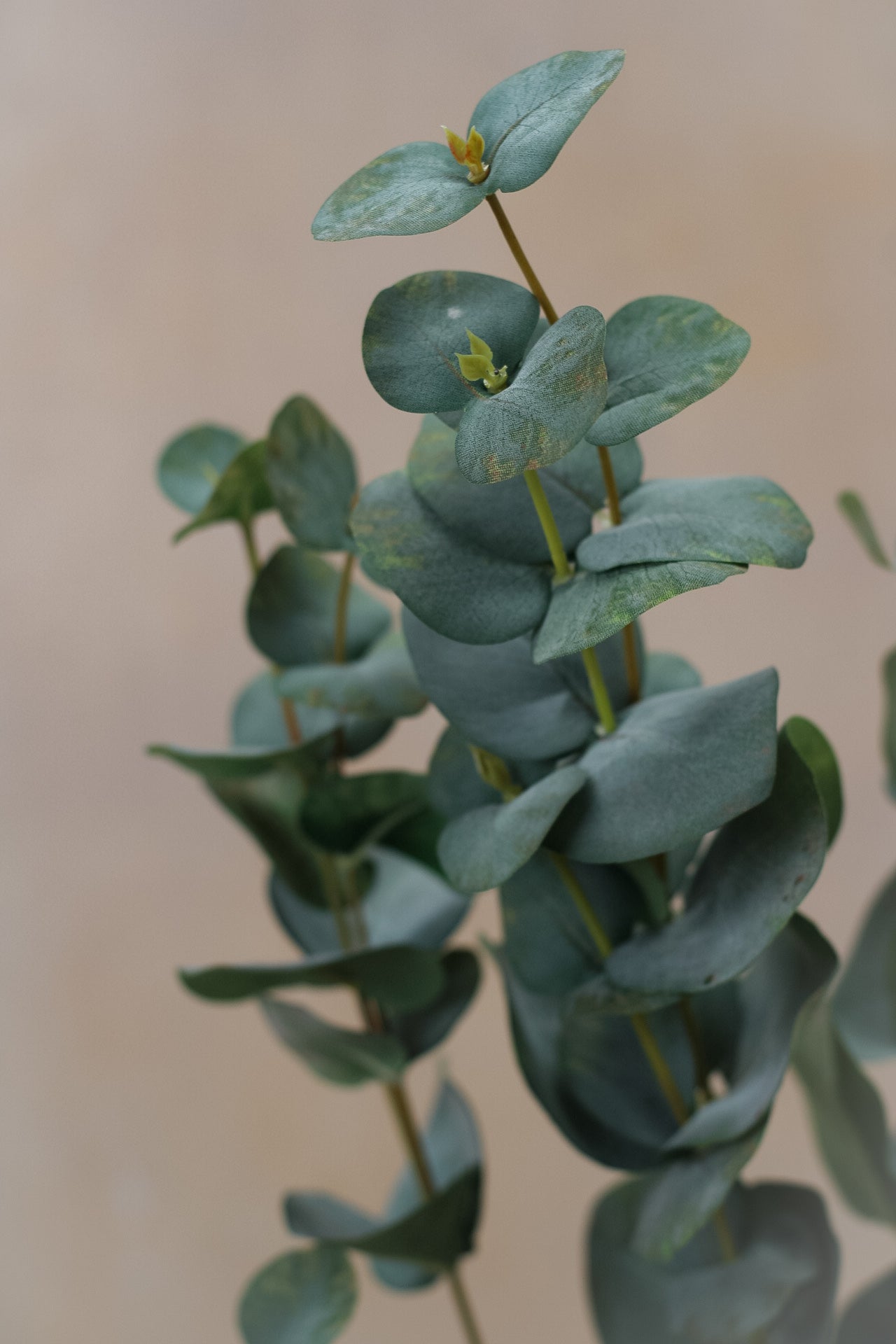 Faux Eucalyptus Spray