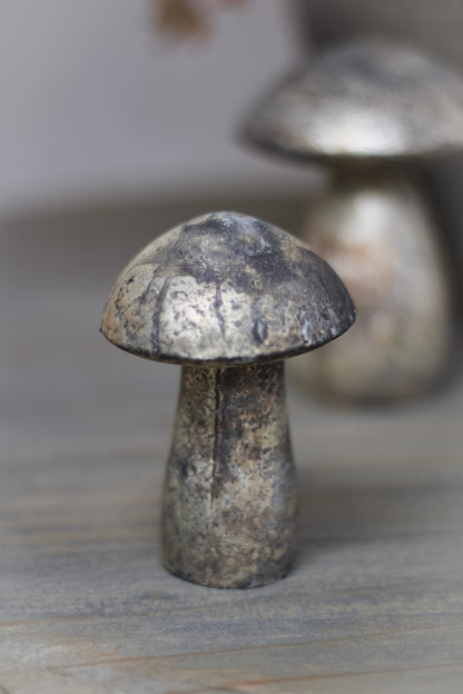 Single aged mushroom decoration