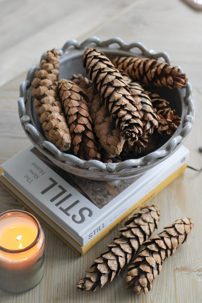 Large Natural Strobus Pine Cones | Bag of 12