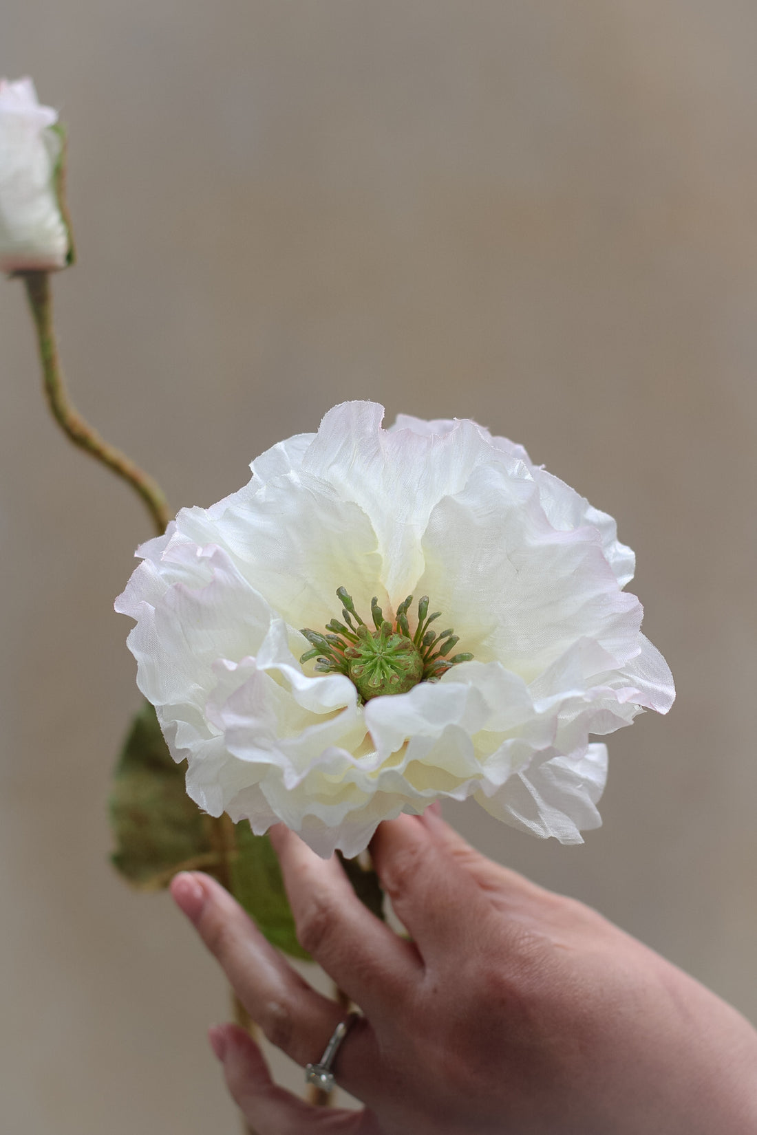 Faux Luxury White Poppy Spray