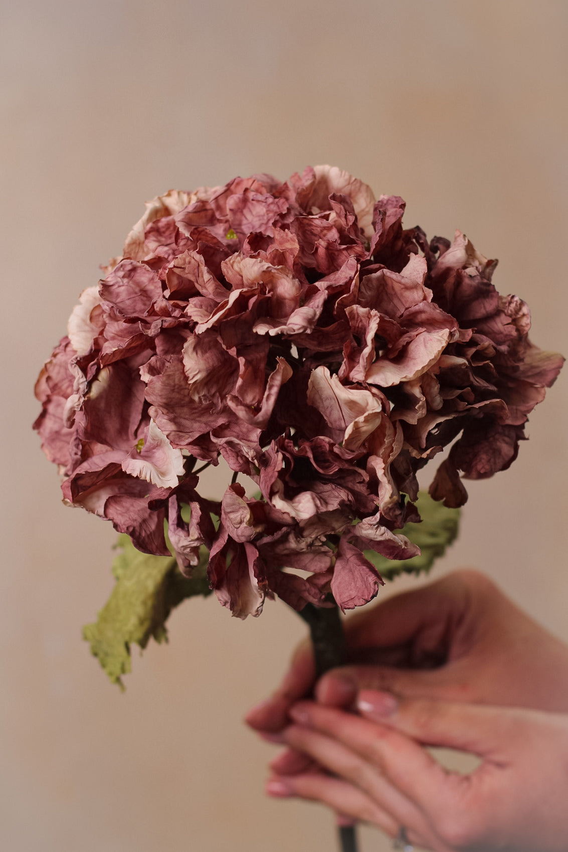 Faux Vintage Mauve Dried Touch Ruffle Hydrangea