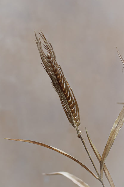 Faux Dried Grass Reed Stem