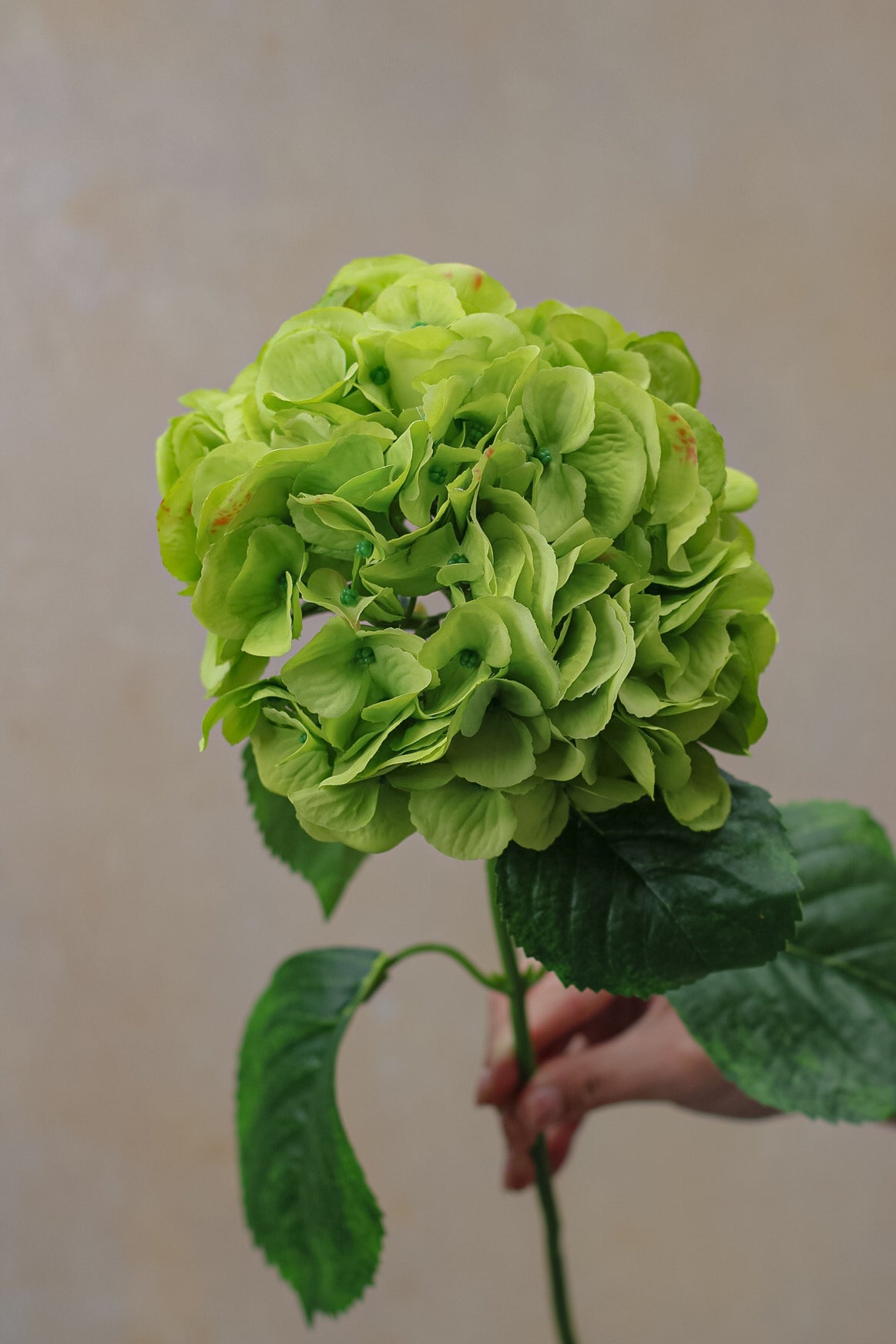 Faux Garden Green Hydrangea Stem