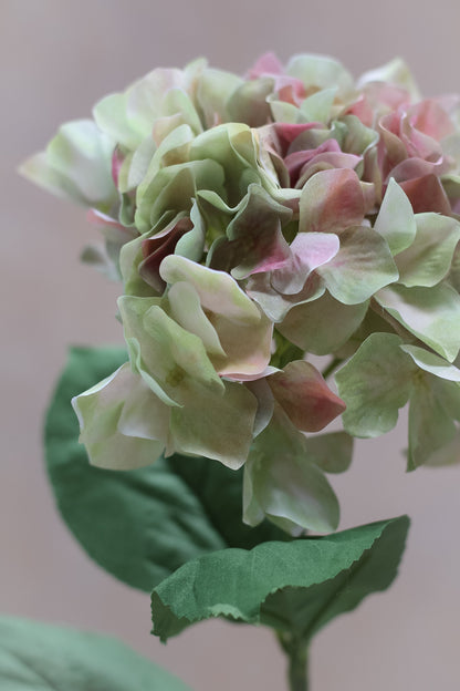 Faux French Hydrangea Stem