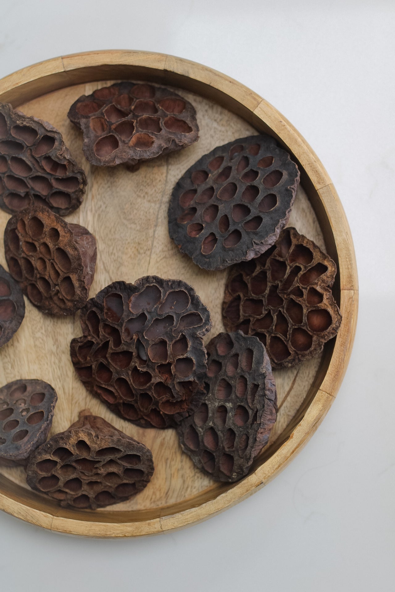 Dried Lotus Heads | Bundle of 5