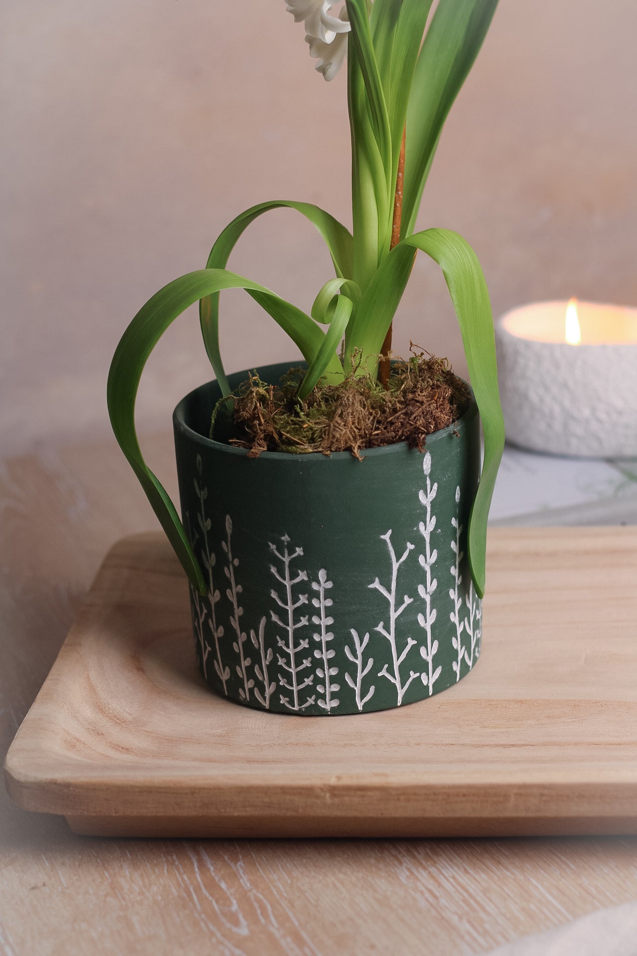 Botanical Etched Moss Planter