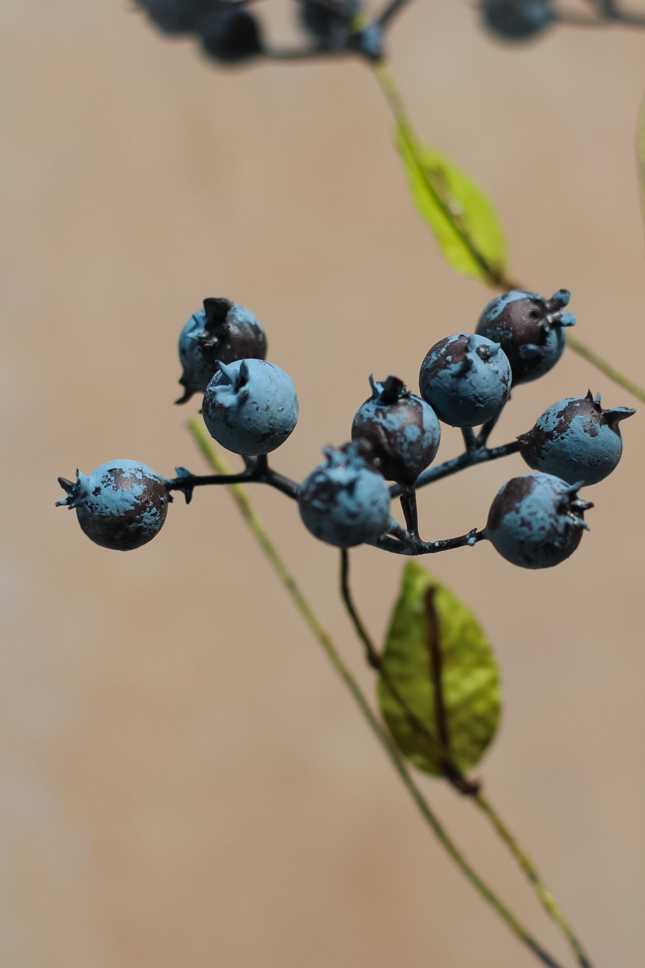 Deluxe Faux Blueberry Stem