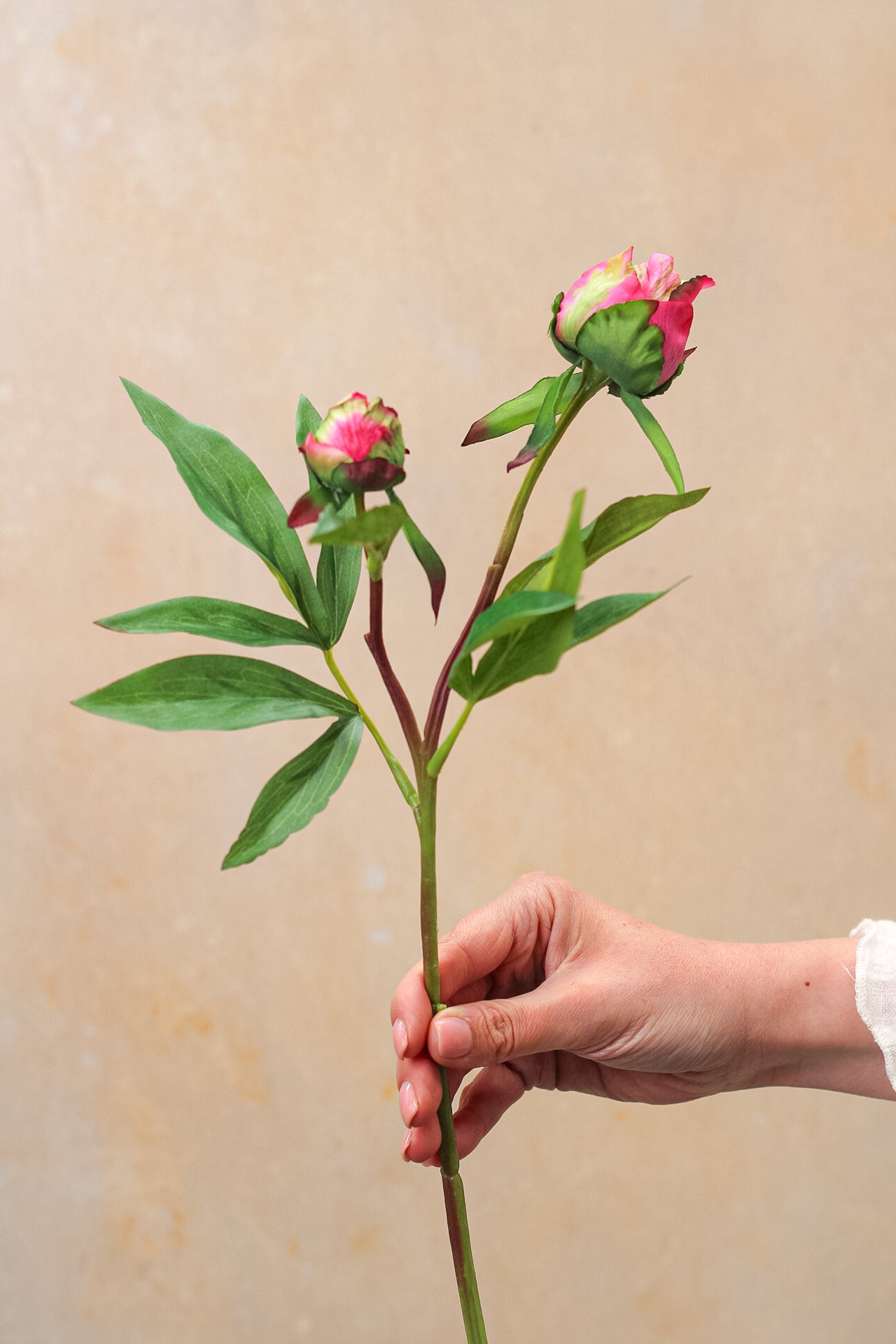 Faux Fuchsia Tight Bud Peony Spray