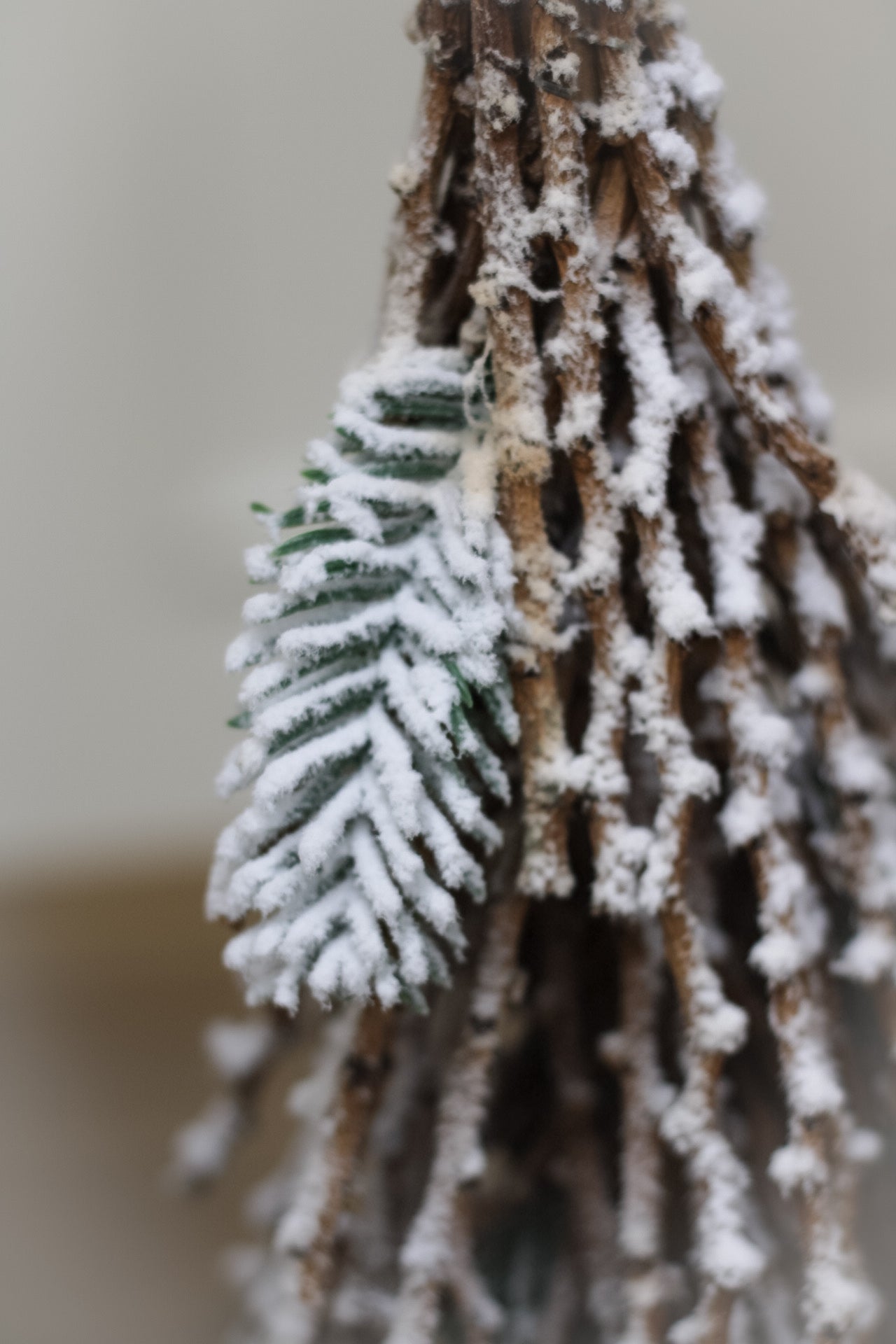 snowy twig tree