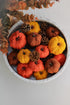 Bag of Autumn Orange Pumpkins and Pinecones