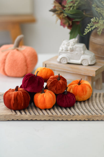 Bag of Autumn Velvet Pumpkins